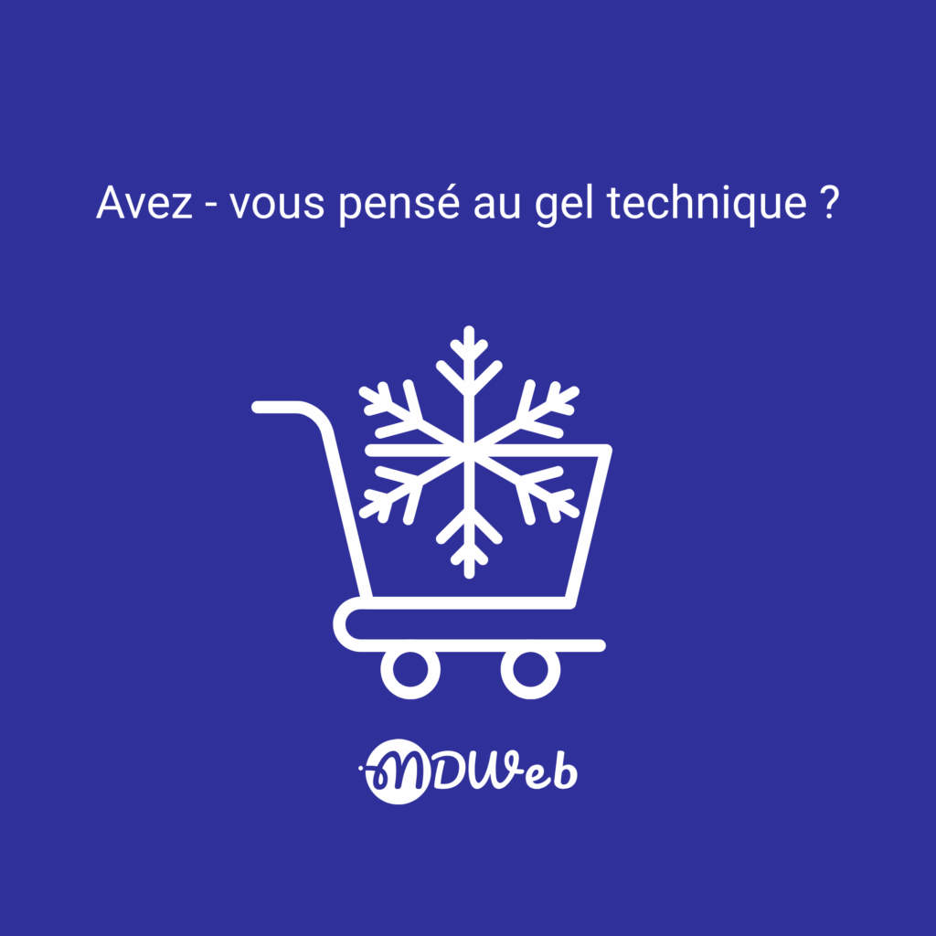 Illustration d'un panier d'achat contenant un flocon de neige, rappelant l'importance du gel technique e-commerce avant le Black Friday.